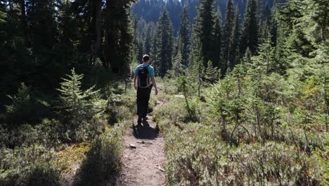 Middle-aged-man-solo-hiking-through-a-beautiful-forest