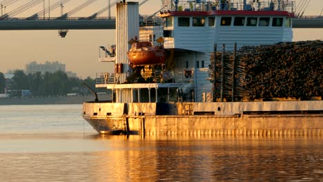 ship loaded roundwood