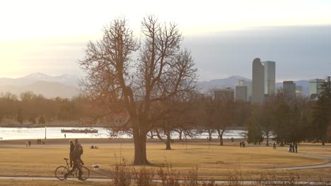 widok na panoramę denver z miejskiego parku w zimie