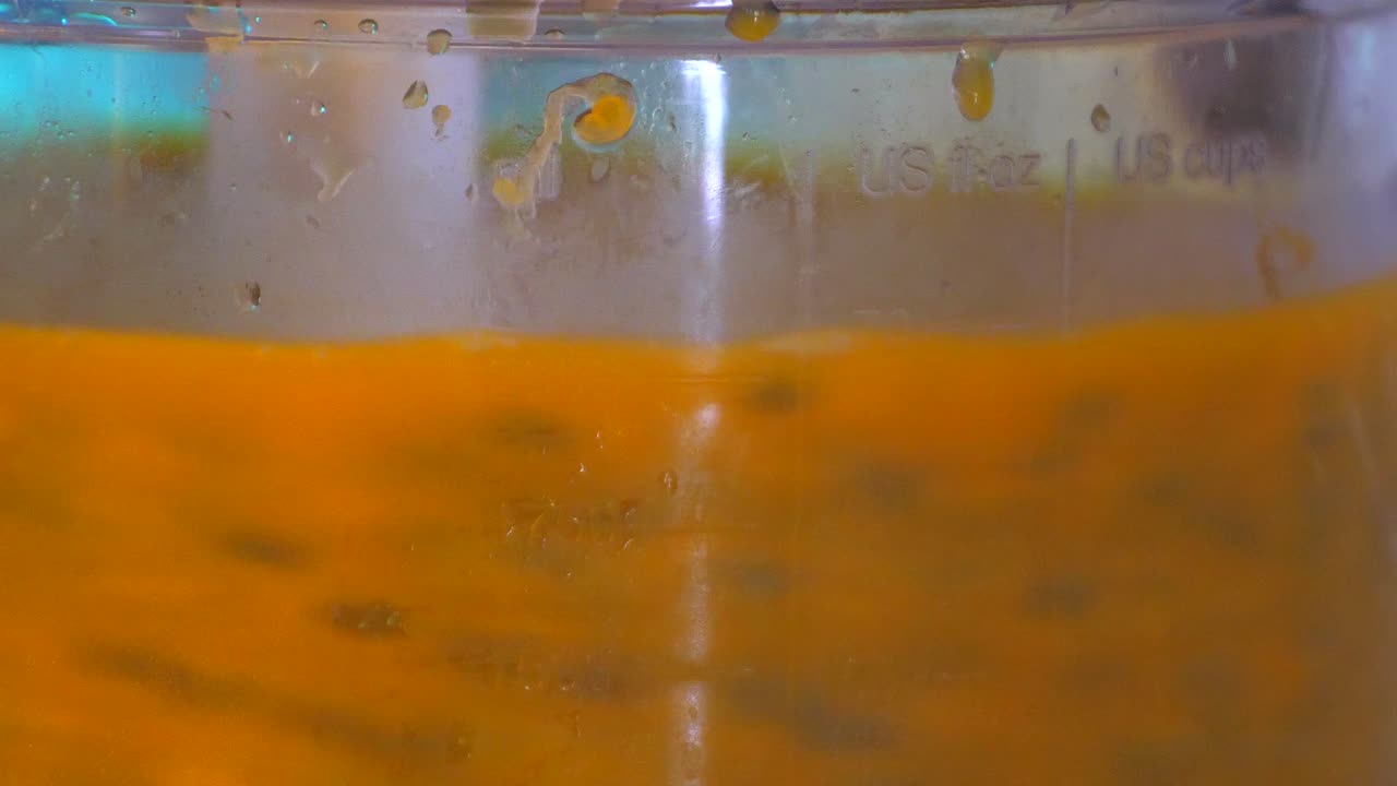 열매  ⁇ 프가 전기  ⁇ 서에서 씨 ⁇ 에서 분리되고 있습니다.