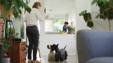 Caucasian-woman-feeding-her-dogs-in-the-living-room-at-home