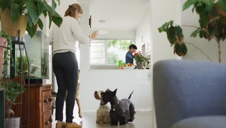 caucasian woman feeding her dogs in the living room at home