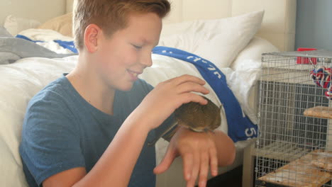 boy playing with pet degu in bedroom