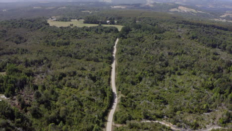 carretera que cruza un bosque verde y algunas propiedades en el campo