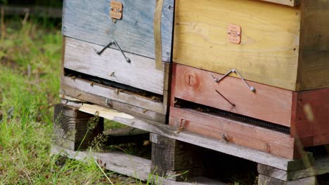 Ein-Bienenstock-An-Einem-Sommertag