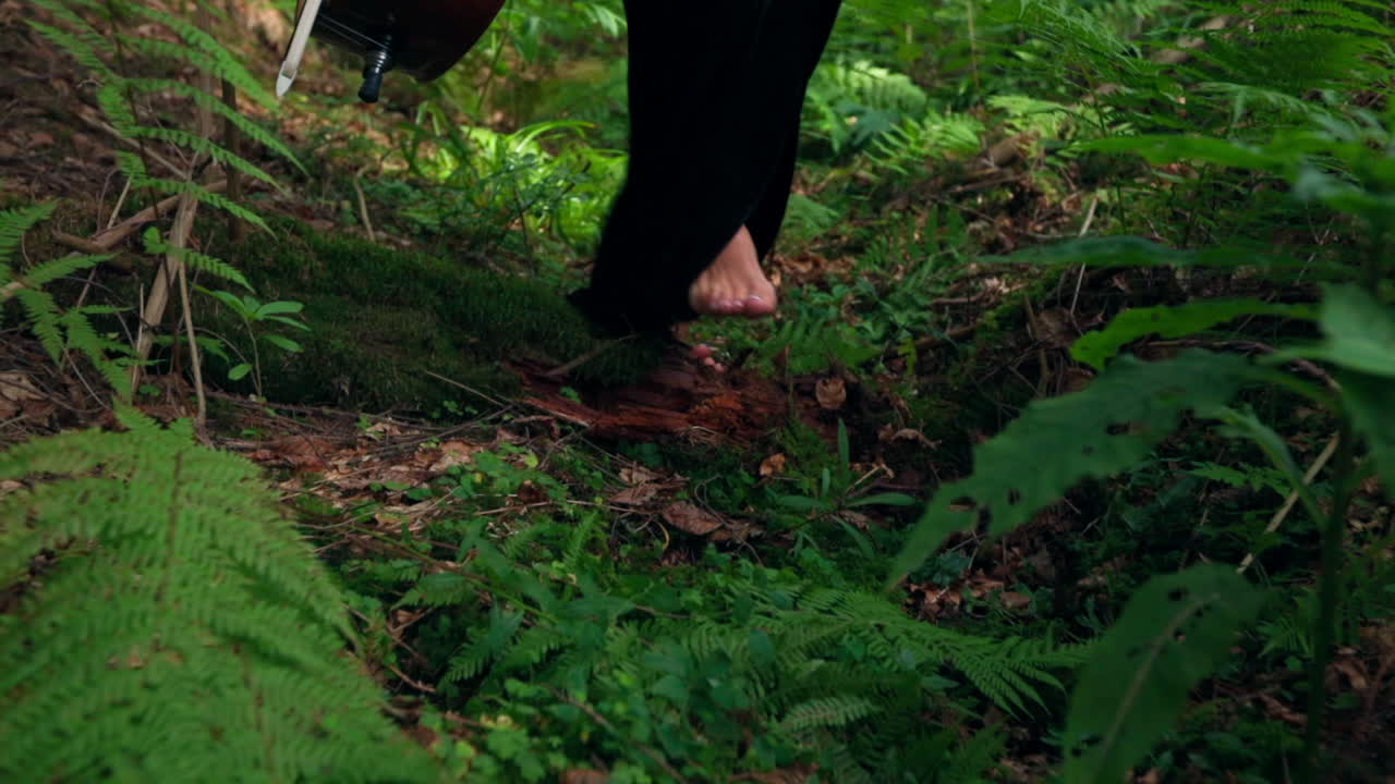 Woman walking with cello. Close up of creative woman walking with cello in forest