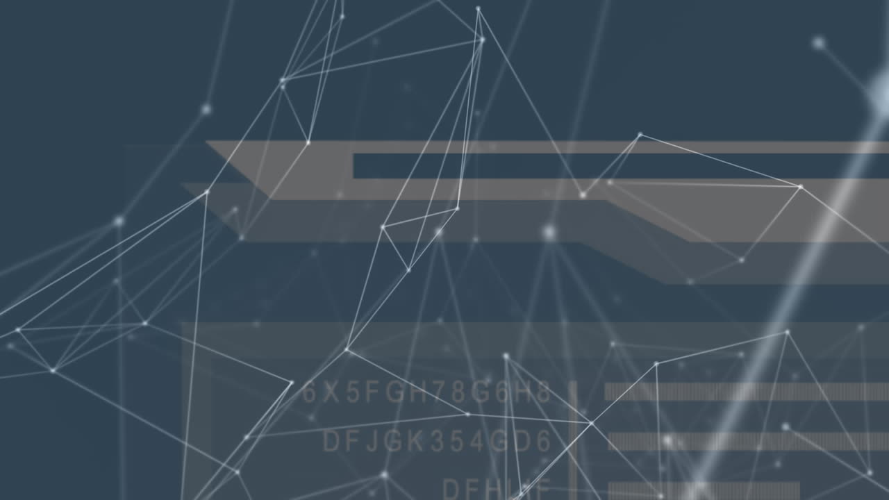 animación de la red de conexiones a través del procesamiento de datos