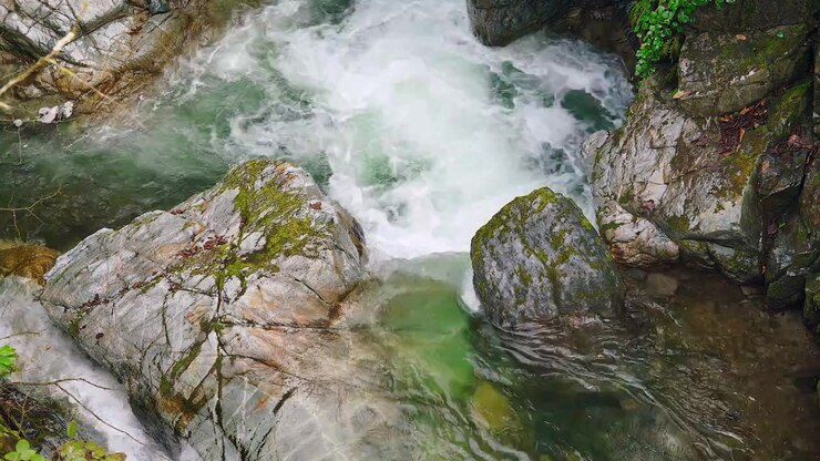 Un chiaro ruscello di montagna che scorre su rocce muschiose