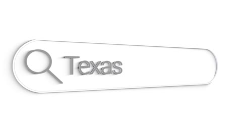 texas search bar close up single line typing text box layout web database browser engine concept.