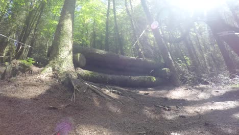 ciclista de montaña cabalgando cuesta abajo sobre un salto de tierra construido a alta velocidad en pista forestal