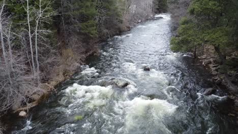 river cascading through lush forest