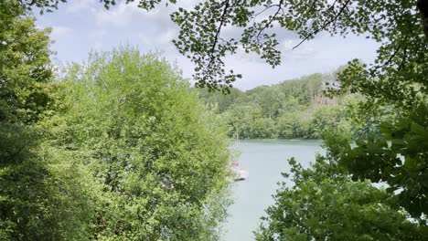 shot through dense trees with green leaves on a hidden lake in forest