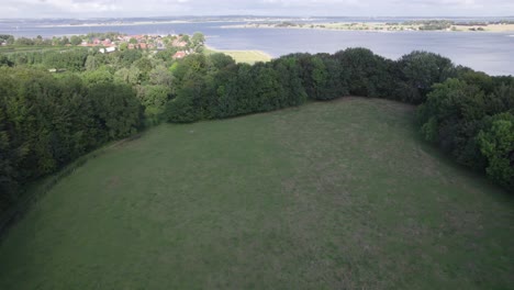 Draufsicht-Von-Oben-Auf-Ein-Feld-Mit-Vieh-Das-Meer-Und-Eine-Kleine-Stadt---Neigungsaufnahme