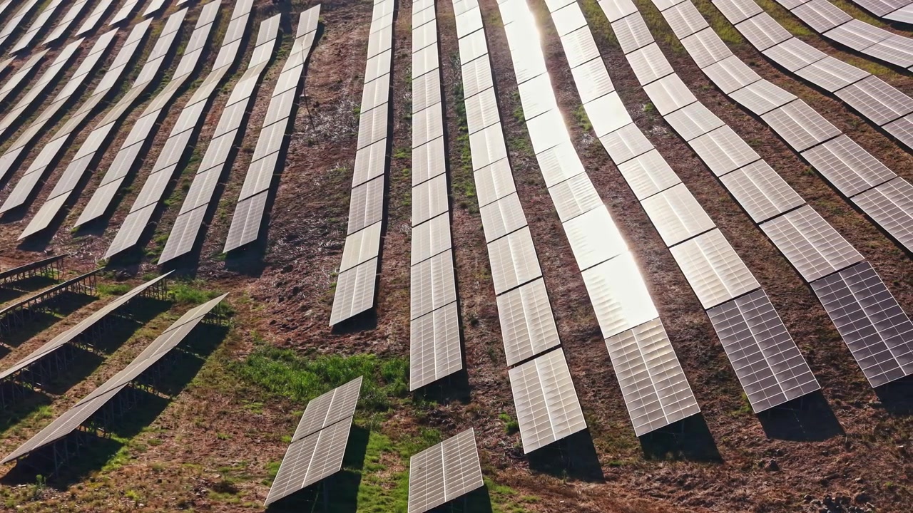 Solpaneler dækker et stort område under skarpt sollys, hvilket viser en løsning for vedvarende energi i aktion i dagtimerne.