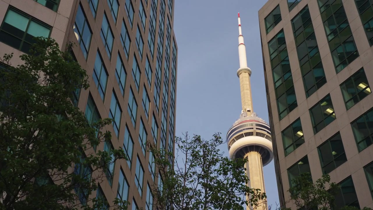 La CN Tower appare tra gli edifici per uffici del centro mentre la telecamera scivola lateralmente tra gli alberi, al rallentatore.