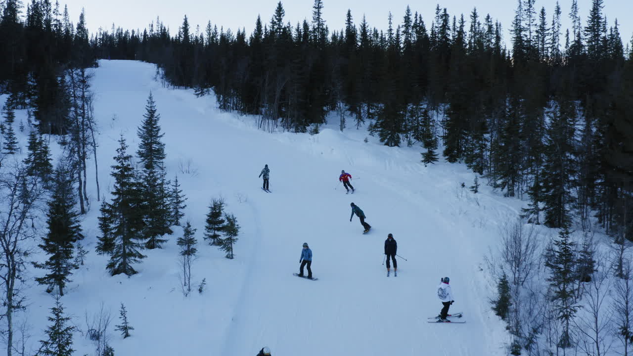 esquiadores en la pista entre los pinos blancos de nieve