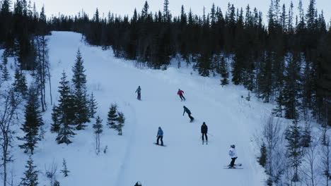 skiers-on-the-piste-among-white-snow-pine-trees