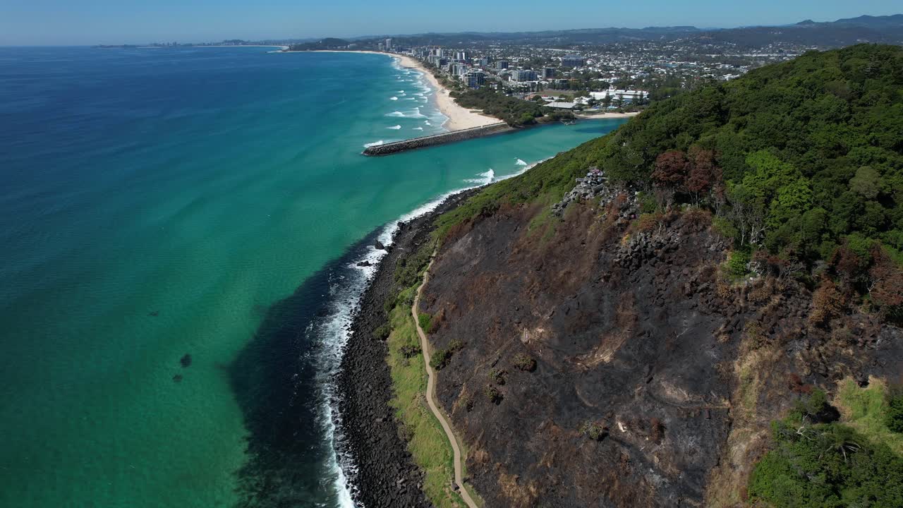 Burned Rainforest And Coastal Walks At Burleigh Heads National Park On The Gold Coast, Australia. Aerial Descending Shot