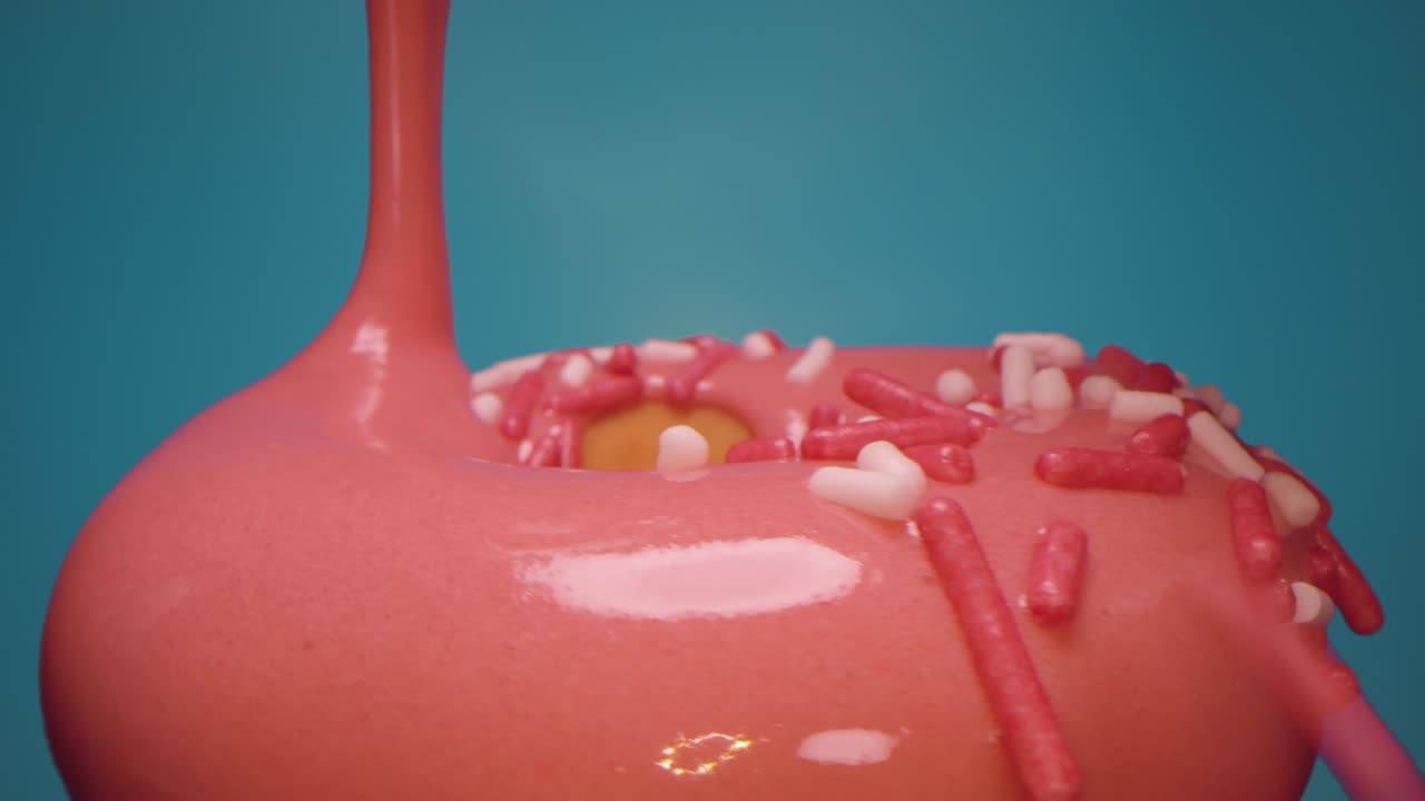 도 에 글레이즈 와 설탕 을 뿌리는 것