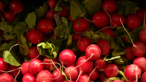 a heap of fresh organic radishes at the farmer's market - isolated close up sliding view