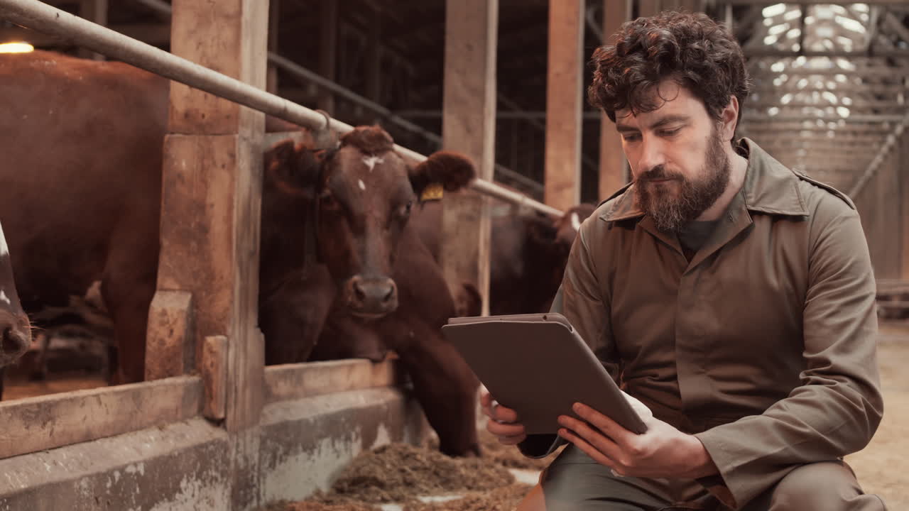 Man Posing with Tablet in Cowshed