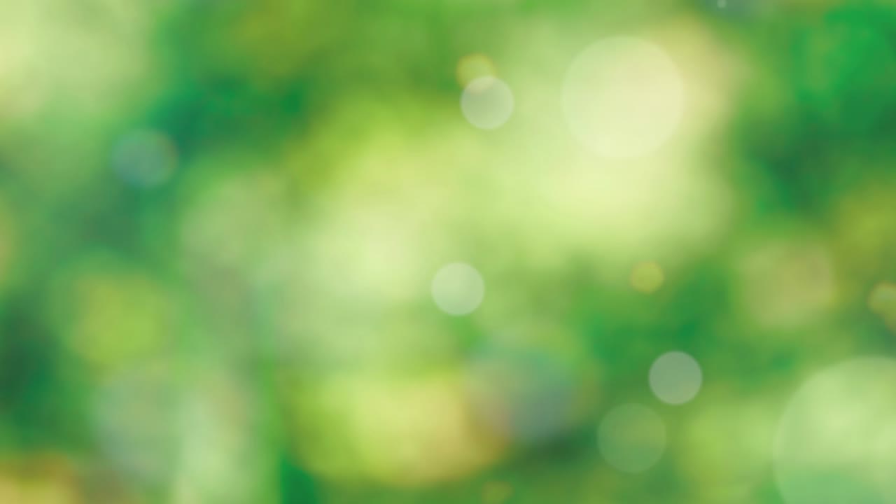 Abstract spring background with bokeh