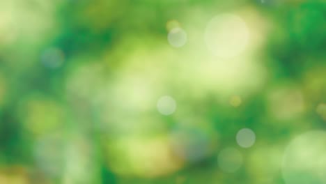 fondo de resorte abstracto con bokeh