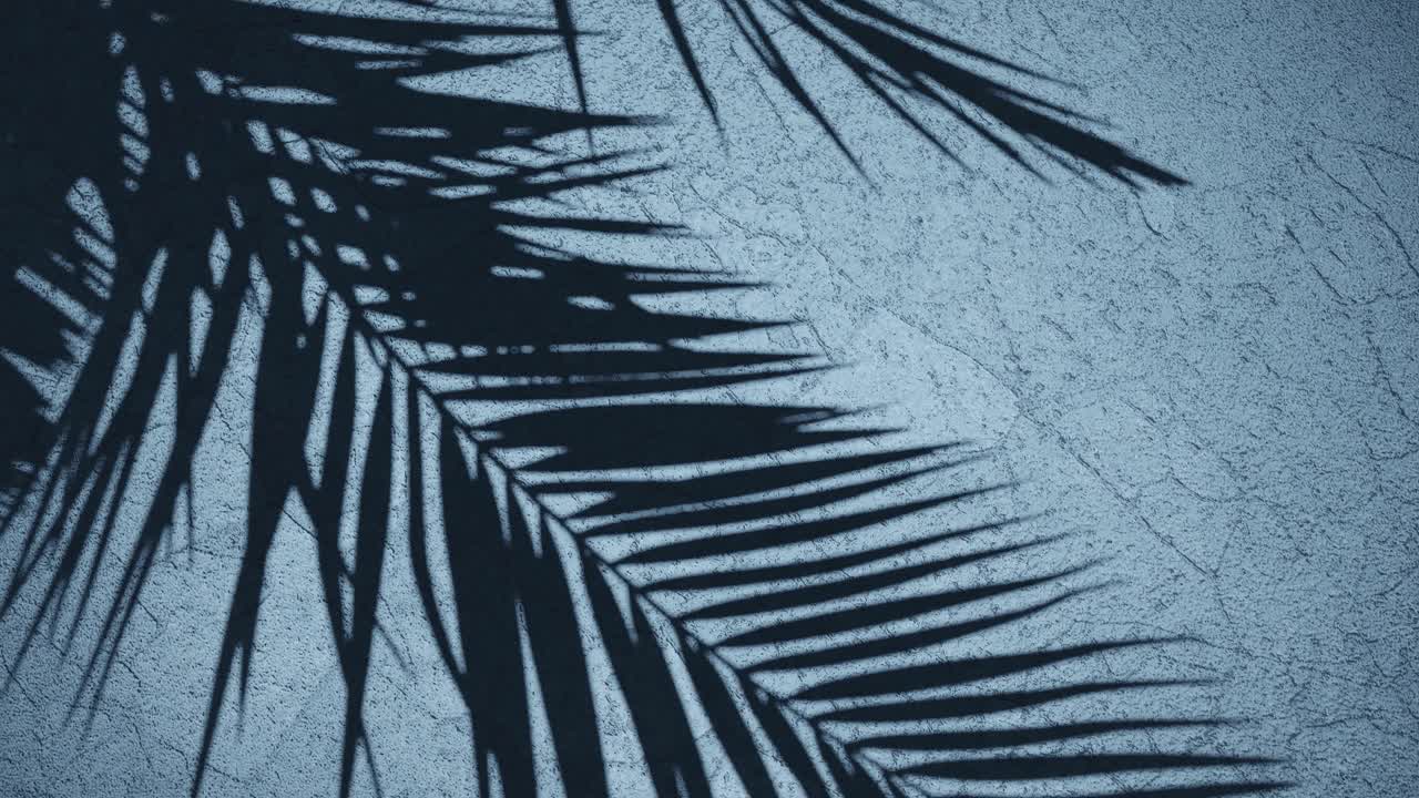 Palm leaves shadow on blue background wall with rough texture