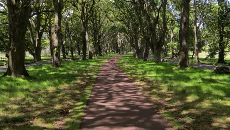 Walking-through-rich-Cornwall-Park,-ray-beams-casting-abstract-shadows,-New-Zealand-attraction