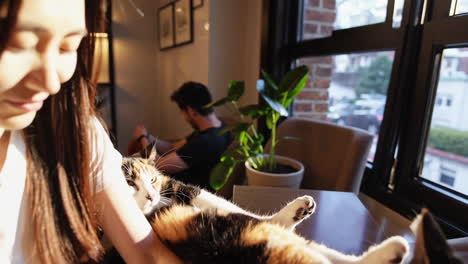 woman holding a cat in a coffee shop