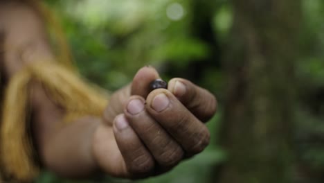 Nahaufnahme-Einer-Acai-Frucht-In-Der-Hand,-Einer-Einheimischen-Frucht-Aus-Dem-Amazonas-Wald,-Kolumbien
