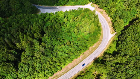 winding road through lush green forest. a scenic winding road curves through dense greenery, showcasing nature's beauty and tranquility under clear skies