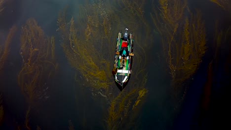 camo inflatable boat in la jolla kelp forest