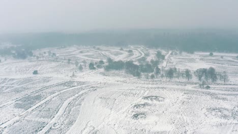 Increíble-Vista-Aérea-Del-Paisaje-De-Campo-Nevado-De-Invierno,-Parque-Nacional-De-Los-Países-Bajos,-Dolly-In