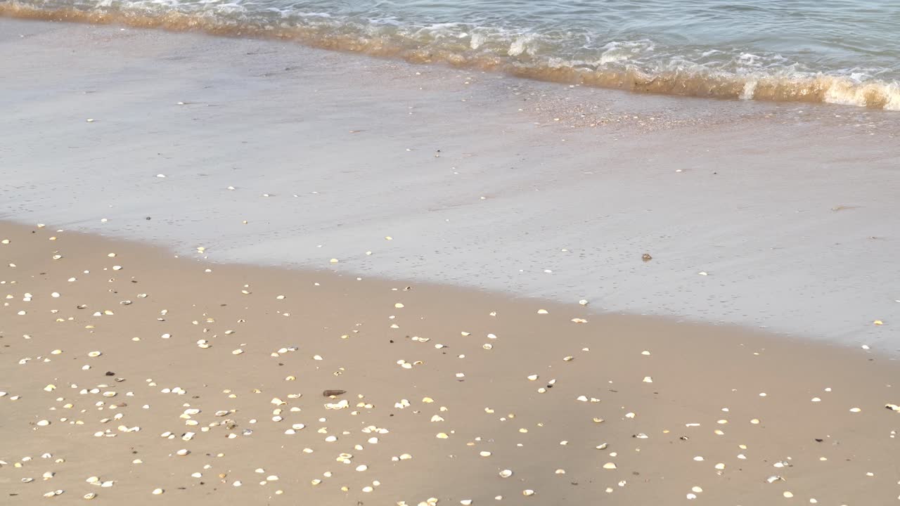 해수욕장의  ⁇ 빛 풍경이 해안가를  ⁇ 습니다.