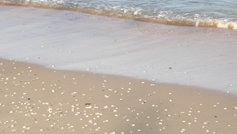 Sunny-view-of-sea-water-hit-the-coastal