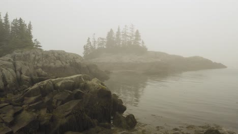 fog covered coastal cove western head preserve, maine aerial