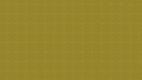 geometric patterns on olive and maroon background