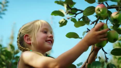 happy young girl reaching for green apples in orchard