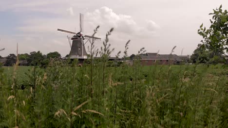 aerial descend showing a dutch windmill obscured by side of the road greenery in countryside of the netherlands