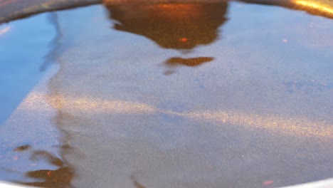 oil in a pan