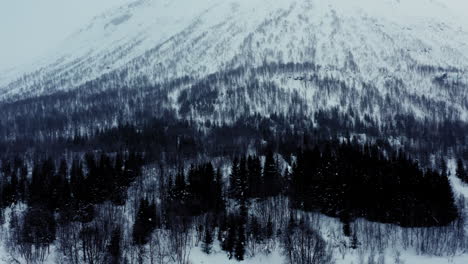 Flying-over-Nordic-Forest-in-Wintertime