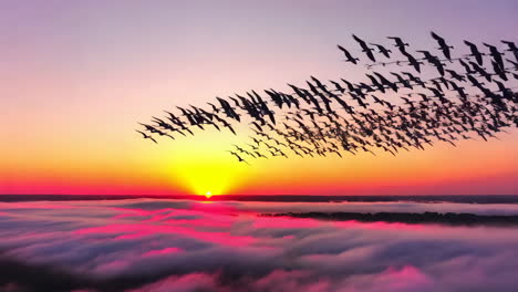 flock of birds flying over vibrant sunset with pink clouds