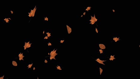 falling autumn leaves