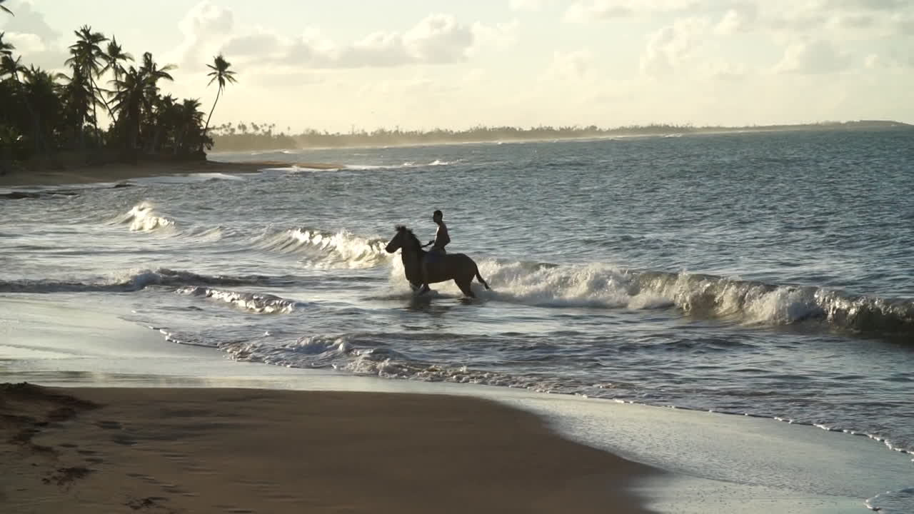 um homem cavalga na água em uma praia em porto rico e sai da água para galopar na areia ao pôr do sol