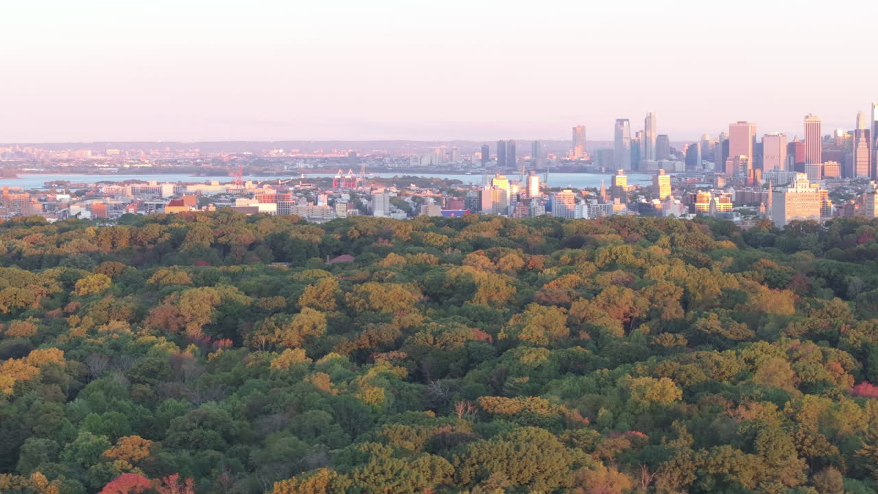 Aerial view of Prospect Park at sunrise. Shot in Brooklyn, New York in October.