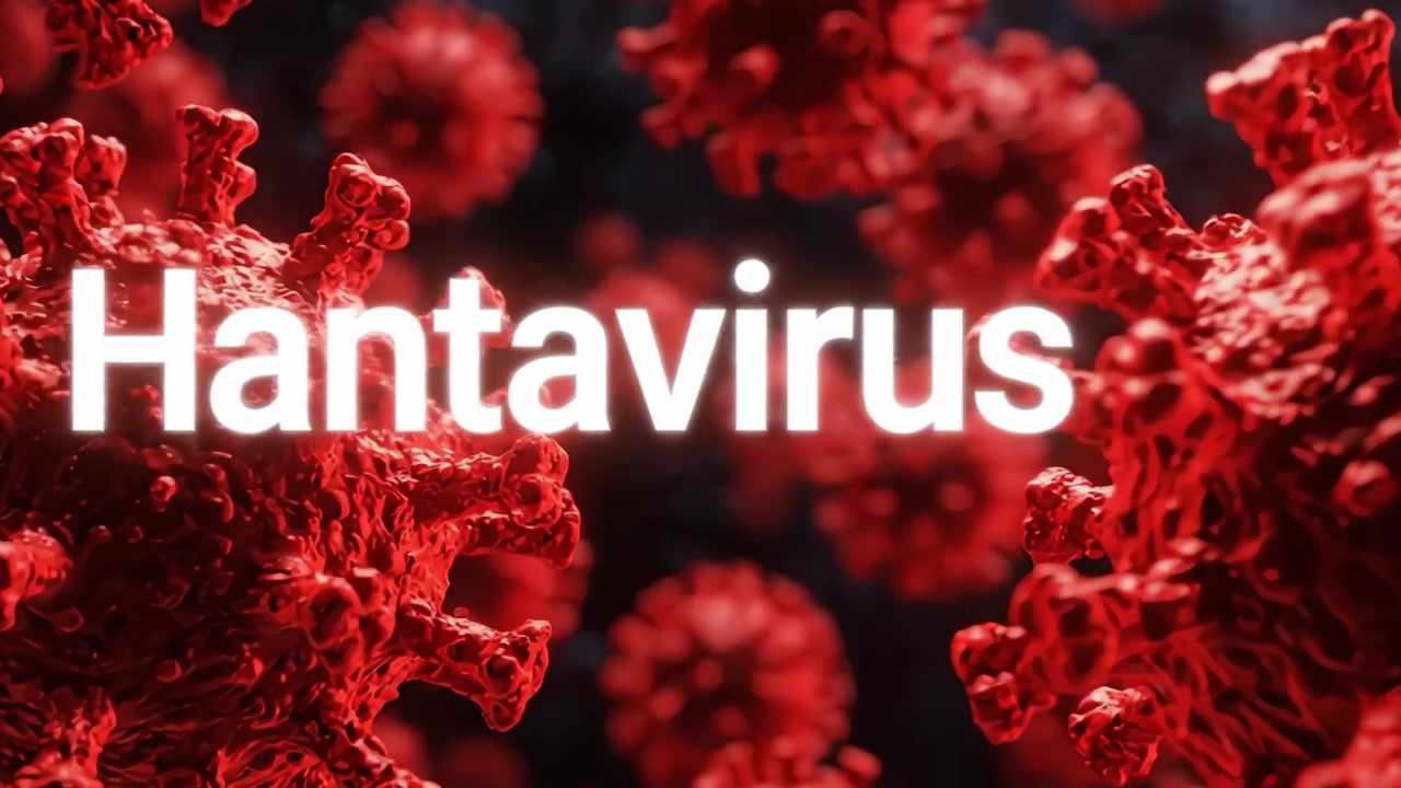 Exploring the Hantavirus: Understanding Its Structure and Impact on Human Health Through Detailed Visual Representation of Its Viral Particles