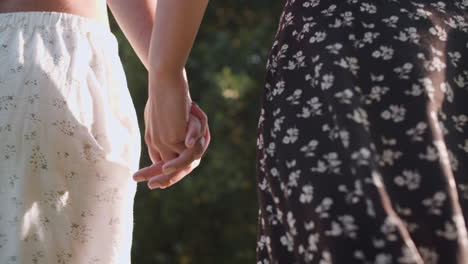 Couple-holding-hands-in-the-park