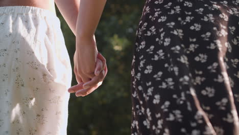 couple holding hands in the park