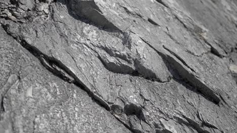 Rock-structure,-texture-in-the-swiss-alps